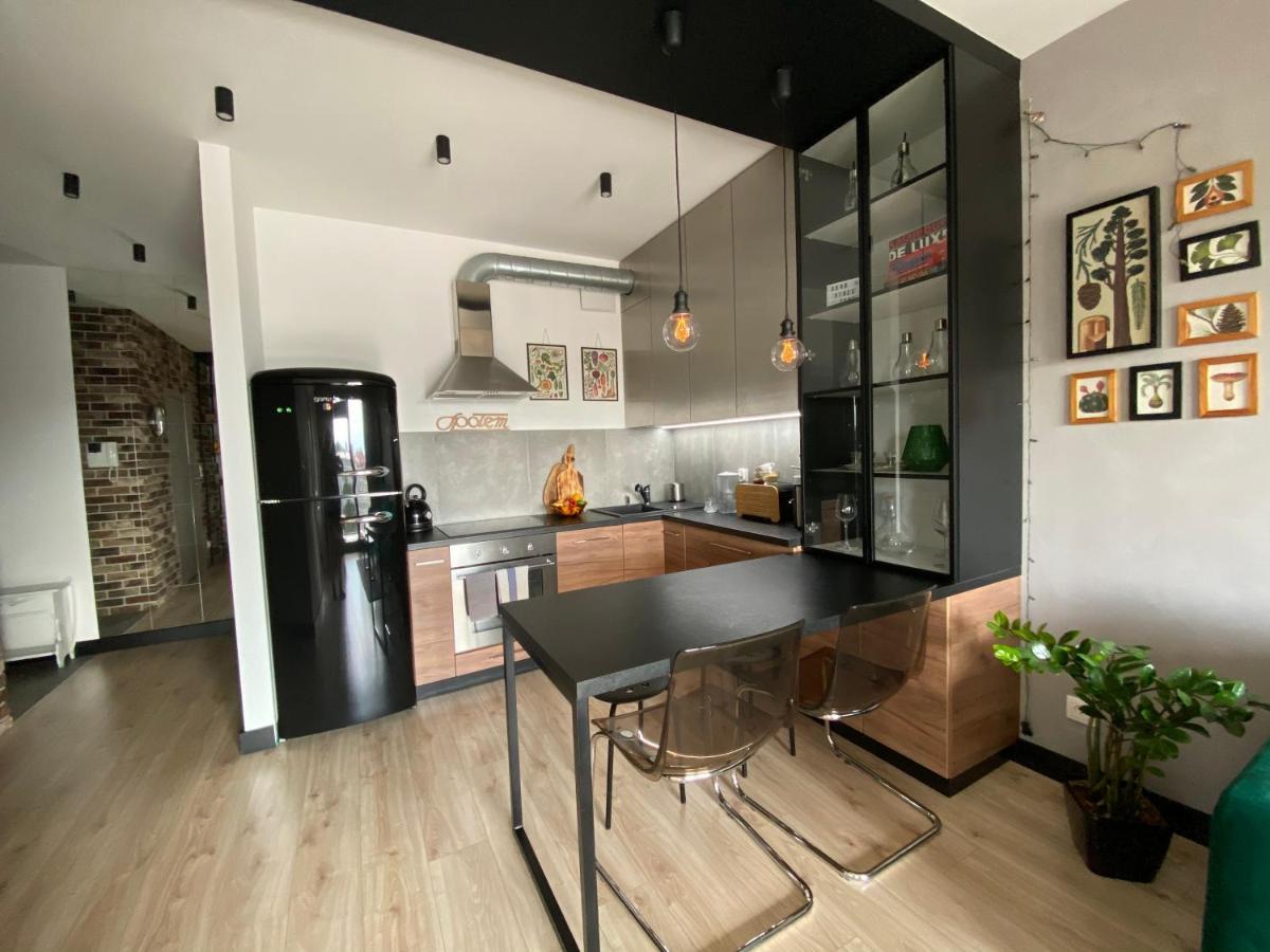 Apartament Delux Przy Wisle Διαμέρισμα Krasków Εξωτερικό φωτογραφία