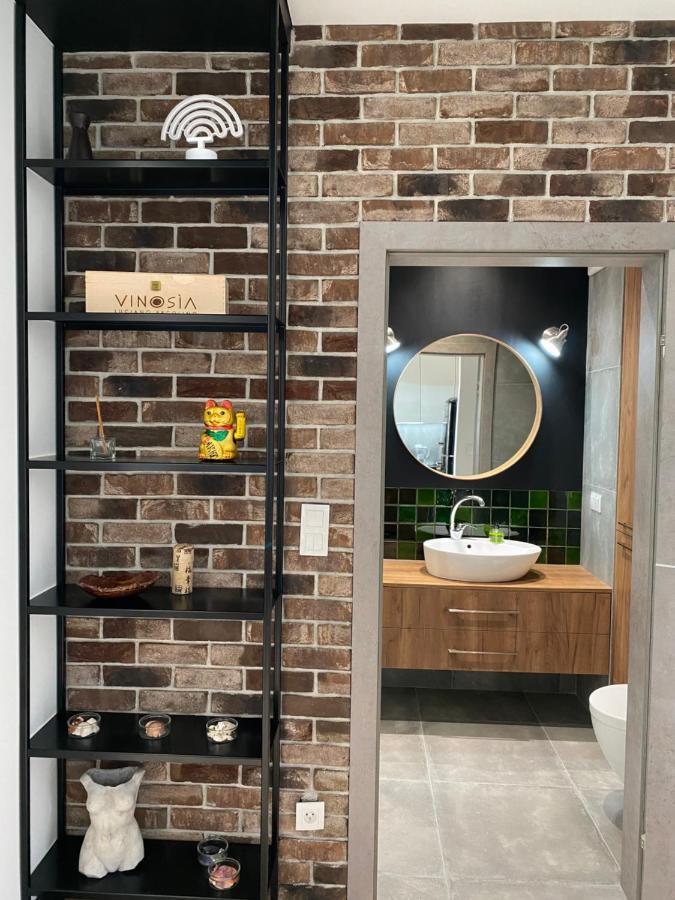 Apartament Delux Przy Wisle Διαμέρισμα Krasków Εξωτερικό φωτογραφία